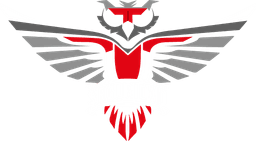 OttoSeguridad
